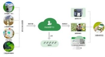 農(nóng)產(chǎn)品全產(chǎn)業(yè)鏈溯源系統(tǒng)軟件開(kāi)發(fā)解決方案 技術(shù)服務(wù)驅(qū)動(dòng)品質(zhì)信任