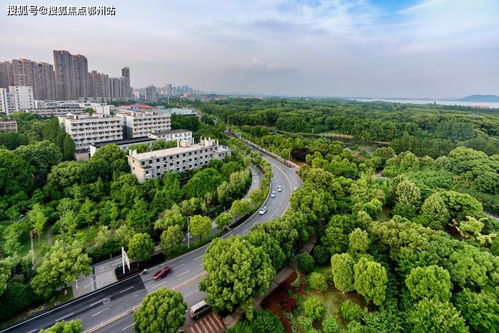 嘉興平湖愛情花漫里官方網站 開啟浪漫生活，歡迎您的到來